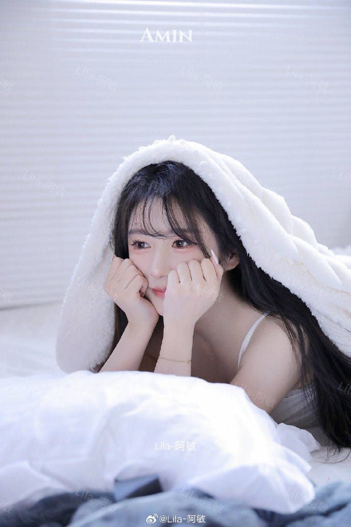 含羞草|AI实验室-持续更新·午后手记封面